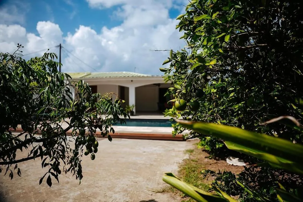 Magnifique Villa Avec Piscine Sainte-Anne Martinique